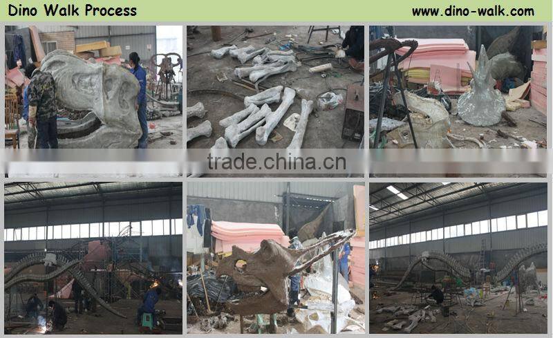 Museum quality T rex dinosaur head fossil