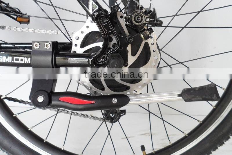 26"versteckt batterie Elektro Mountainbike