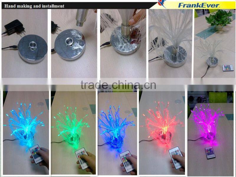 Frankever fiber optical Artwork light decoration fiber light