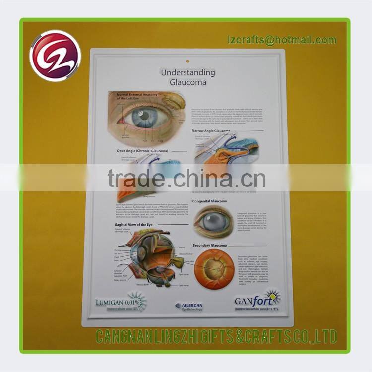 China wholesale pvc medical chart