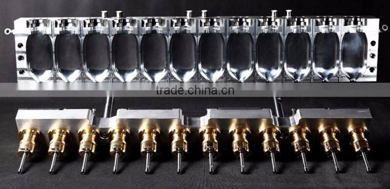 12 Cavity Blow Mold/Mould for PP Infusion Bottle