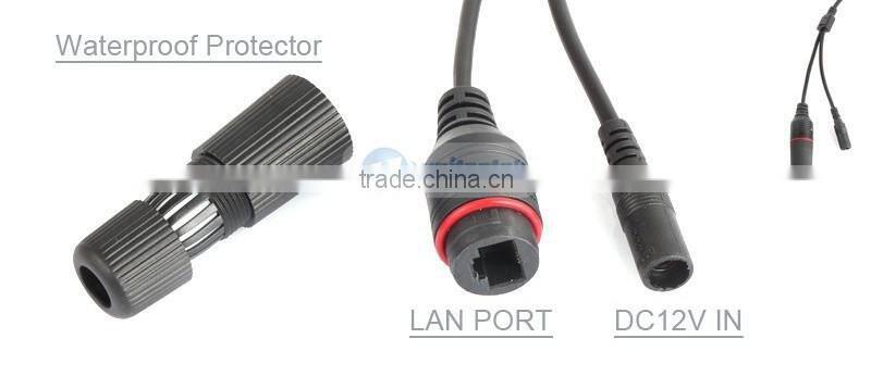 IP66 Dome HD 1080P Network CCTV Camera With ir-cut onvif p2p 12Pcs Leds