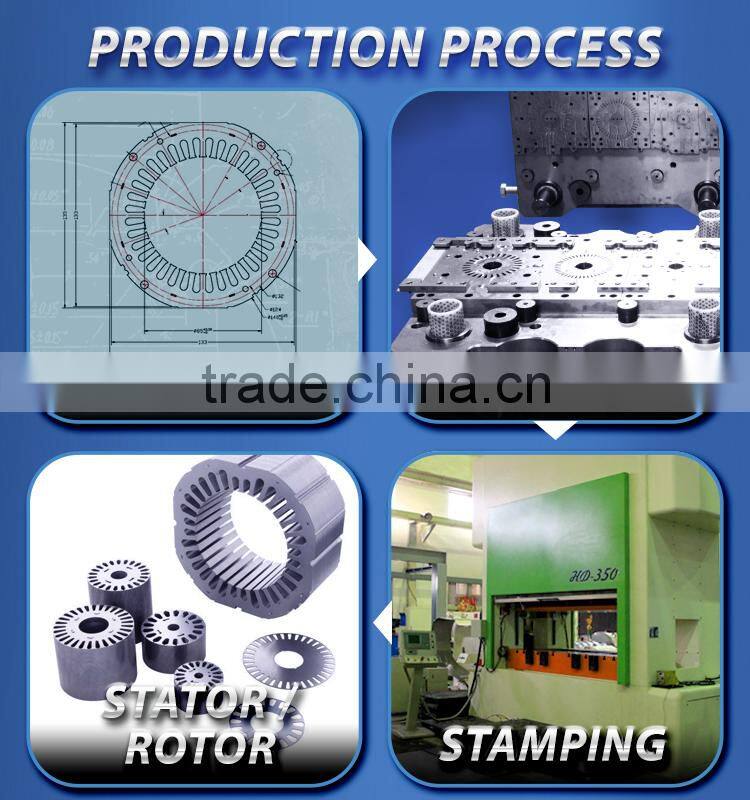 TAYGUEI rotor stator manufacturer for 300kw high rpm electrical motor