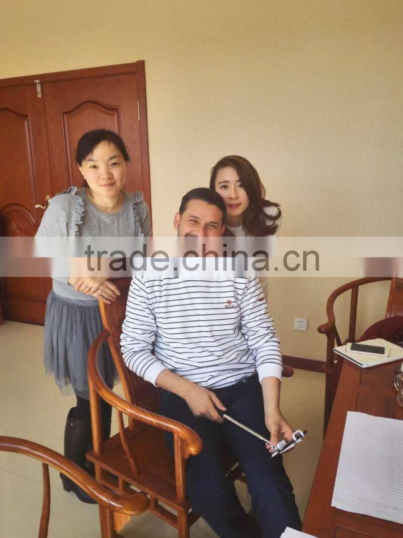 Warehouse Steel Safety Rolling Mobile Platform Ladder with Handrails