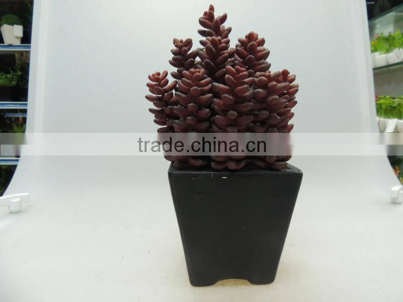 square ceramic pot plant for decorating