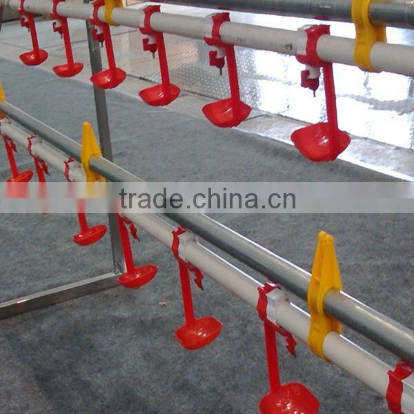 chicken poultry shed design