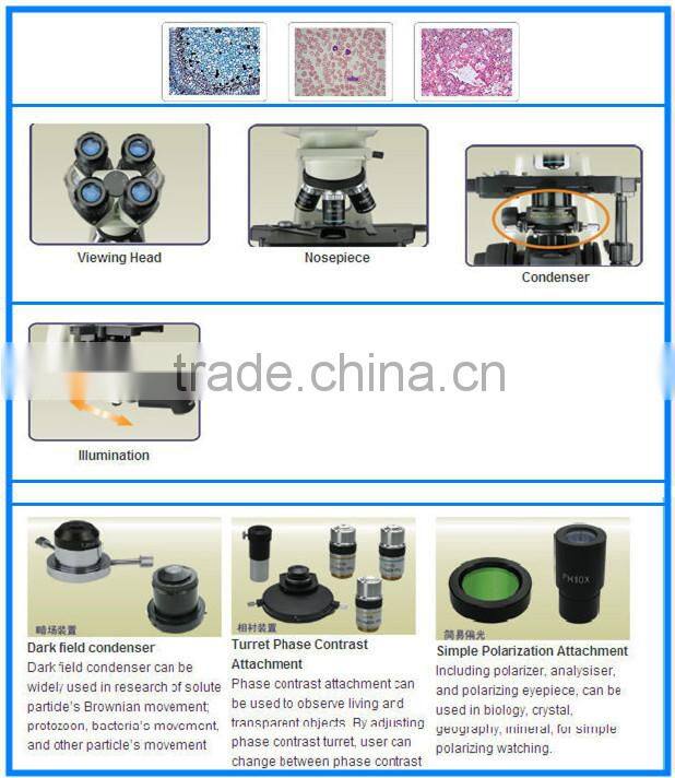 Polarizing Microscope