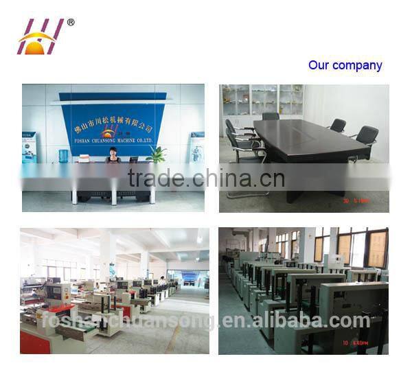 Chilli Powder Filling and Packing Machine