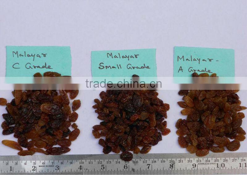 BEST QUALITY MALAYAR RAISIN FOR EXPORT