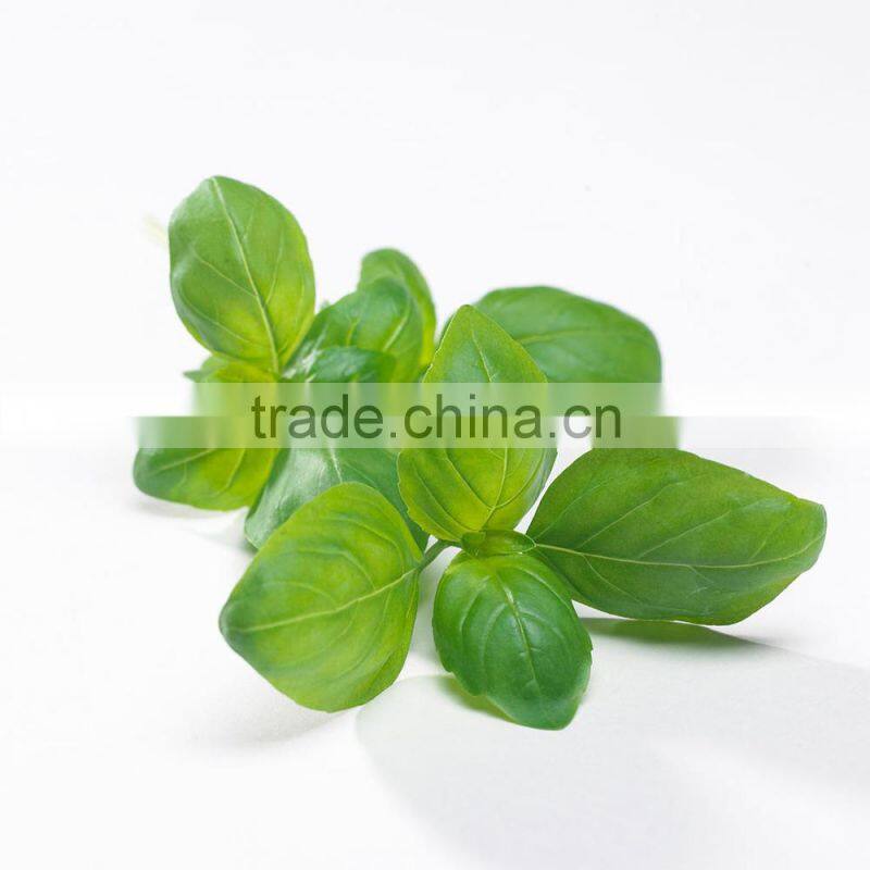 Basil paste basil sauce fresh vegetable