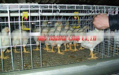 TAIYU-10 4 tiers H type chick cage