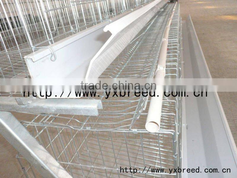 hot sell design layer chicken cages for Africa