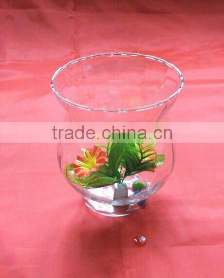 clear glass vase fish farm