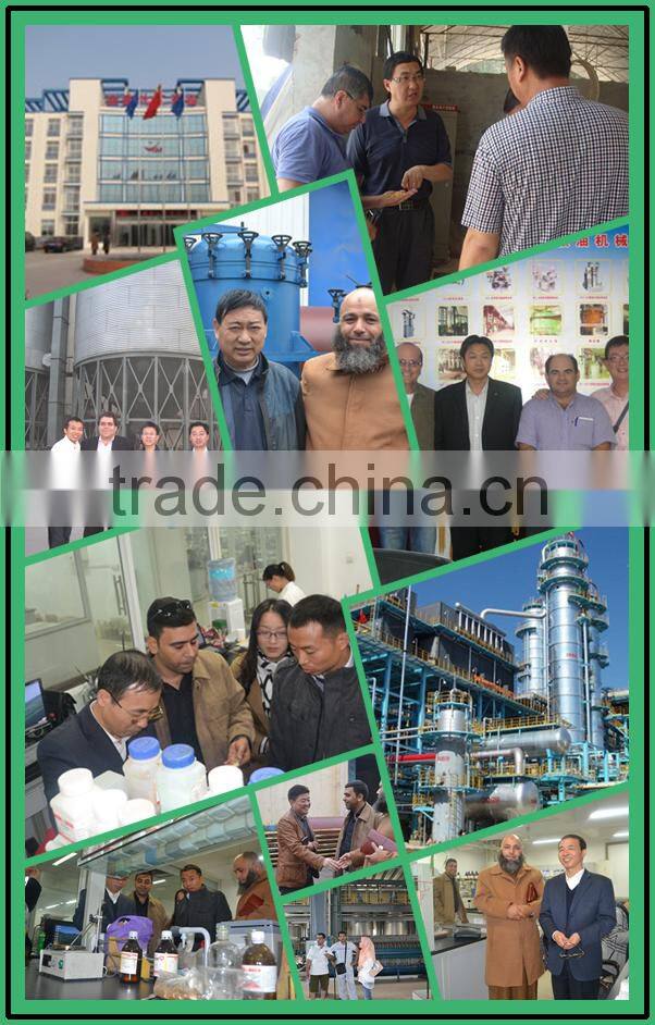 Best supplier sunflower seed oil mill machinery