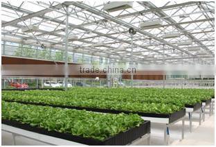 hydroponic grow systems greenhouse