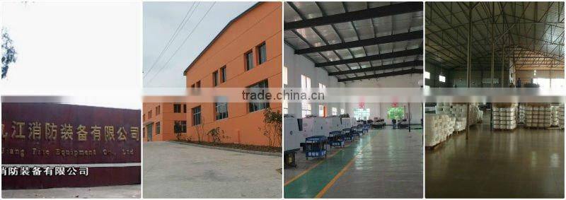 Extension ladder 15 meter