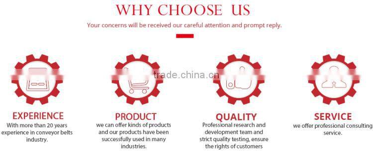 China manufacturer plastic modular belt for conveyor