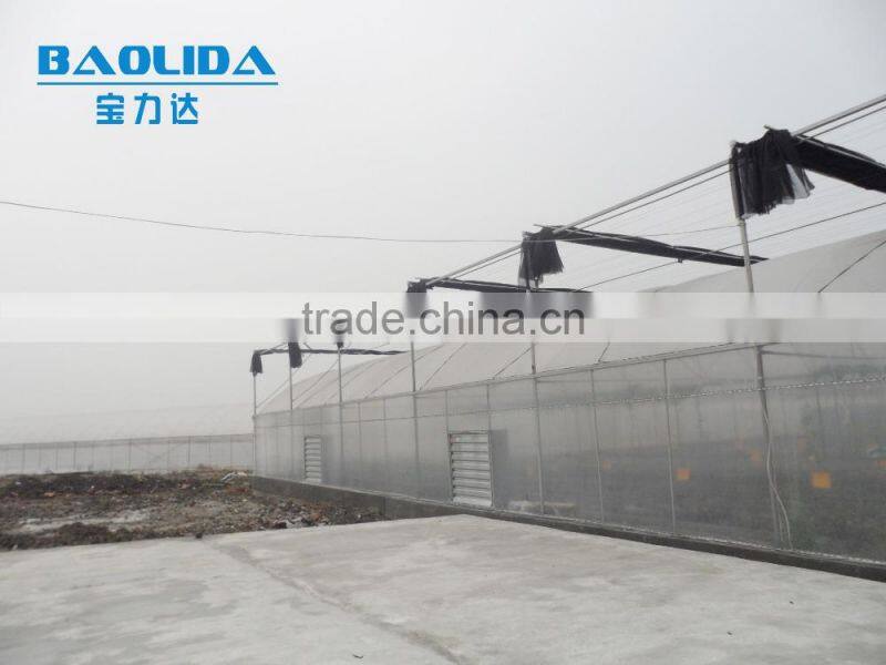 large multi span greenhouse Polyethylene greenhouse agriculture greenhouse