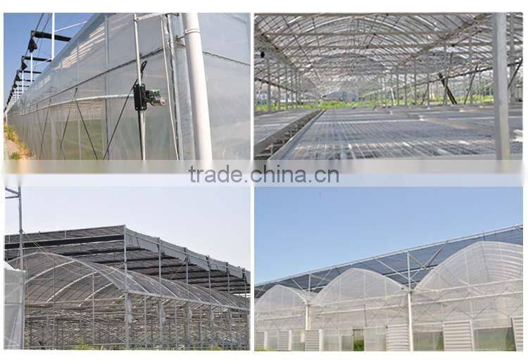 High Quality Tunnel Greenhouse