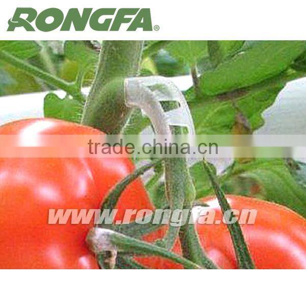 White Plastic Tomato Clip