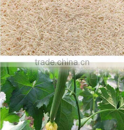 cy294 Best Luffa Sponge And Spa Scrubber For Men And Women - Body wash sponge