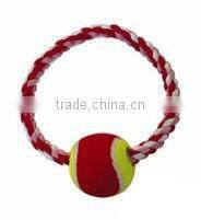 hot selling Plastic ball pet toys