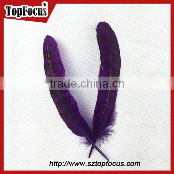 natural ringneck rounds cheap dyed pheasant feathers sale