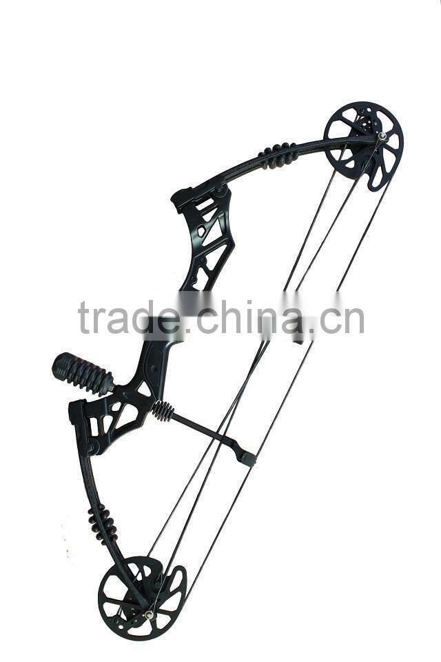 archery hunting compound bow