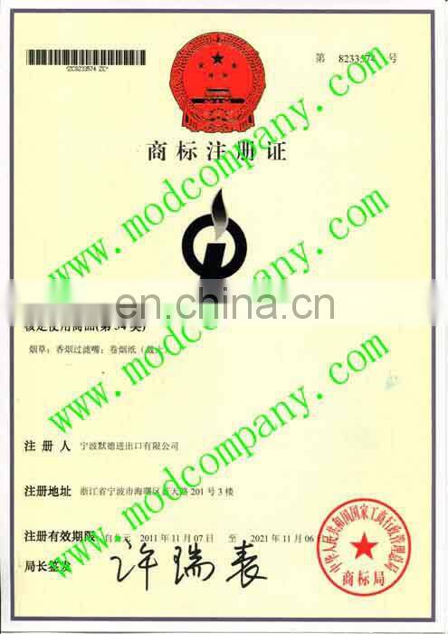 12cm palstic big lighter-big lighter with ISO9994 & En13869 certificate