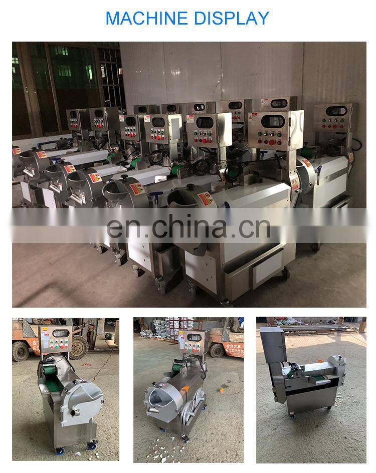 vegetable root cutting machines from Elva