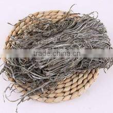 preserved kelp slice2016