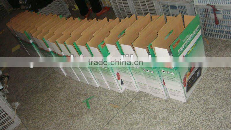 electronic digital measuring scale