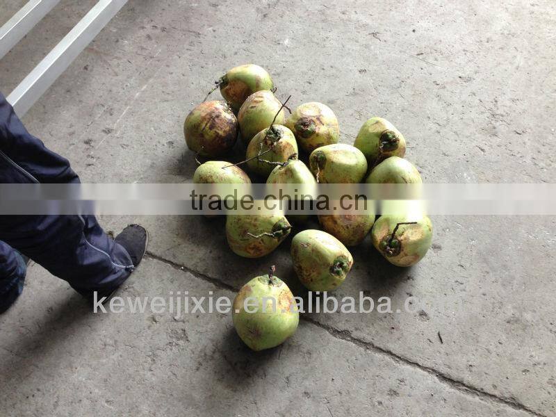 Industrial young coconut grating machine