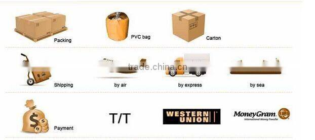 QH-M-4-inflatable modeling-horse inflatable cartoon for sale