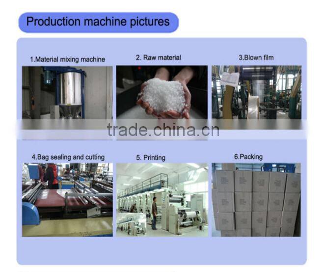 Sterile transparent powder free vinyl gloves