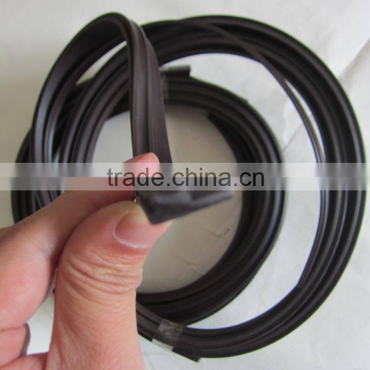 Strong anisotropic magnetic strip