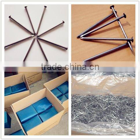 Q195/Q235 Iron common nail