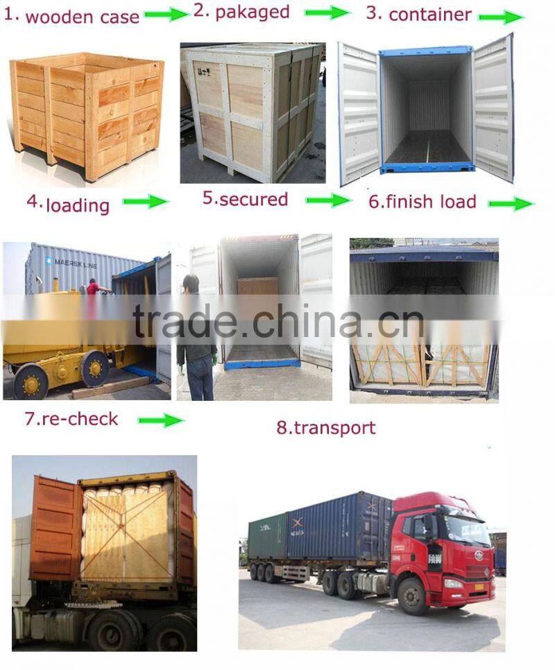 China suppier ride amusement roller coaster train for sale sliding dragon