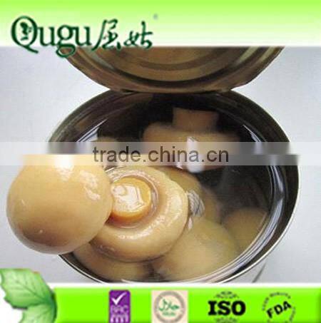 2015 champignon mushroom in brine