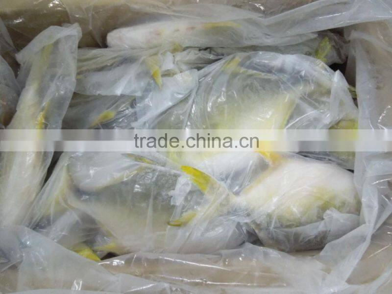 Frozen pompano fish 300-400g Frozen golden pomfret 300-500g