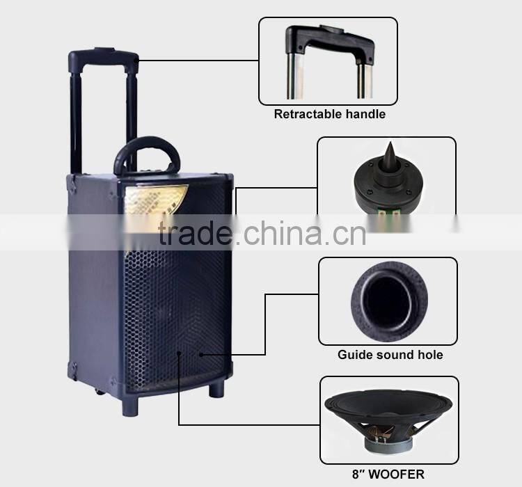 Active Professional PA Speaker DJ Woofer Sound System Portable Rechargeable Speaker