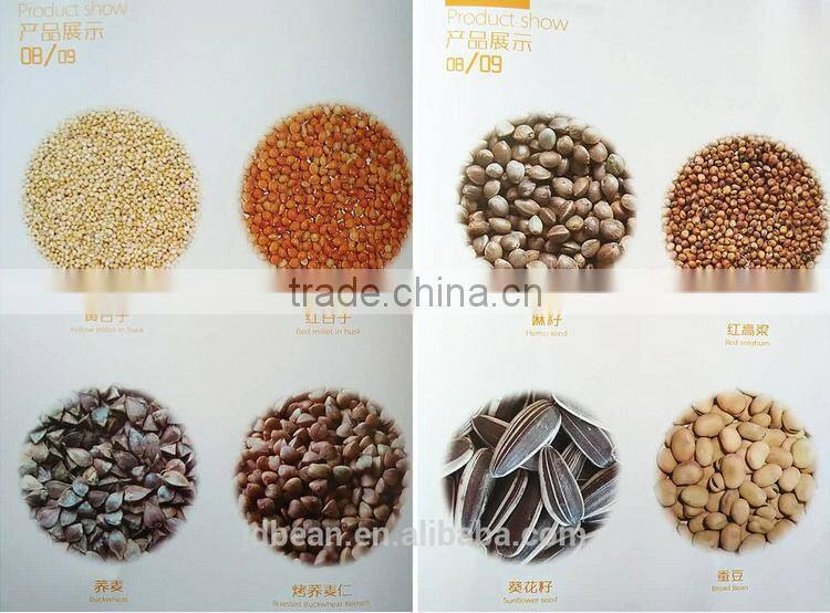 5009 sunflower seeds market price