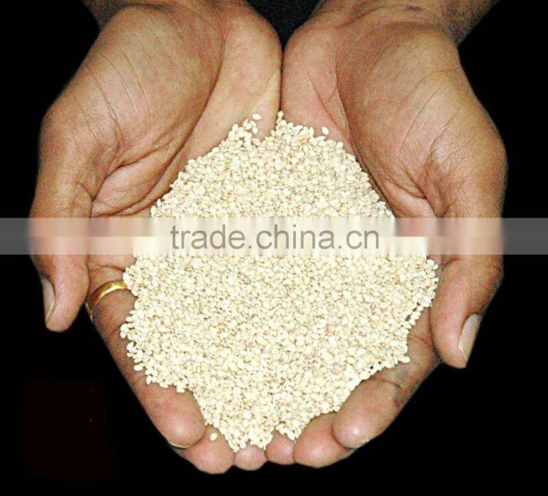 sesame seed production