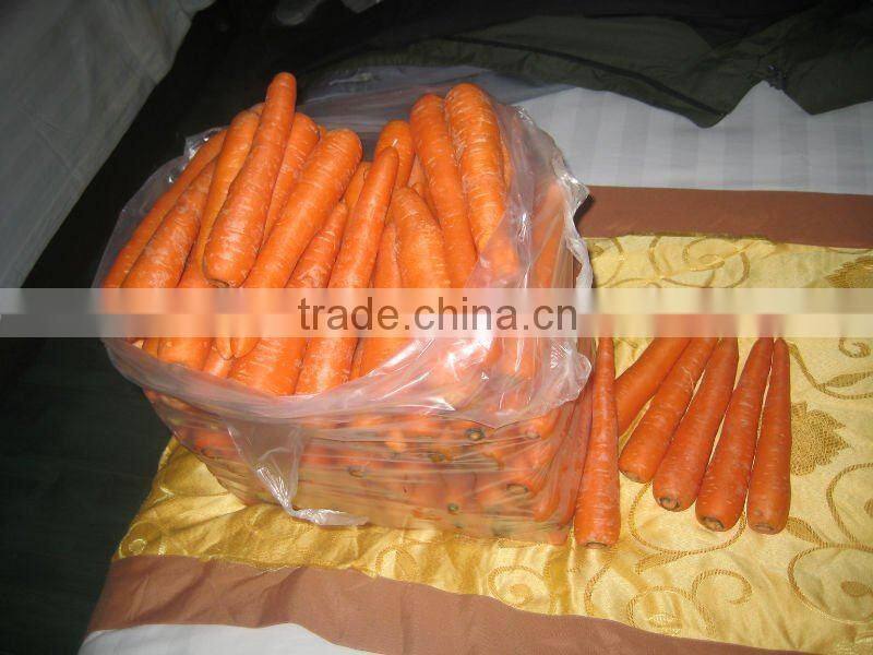 2014 good farmer carrot S(70-150g)/M(150-220g)/L(220-290g)