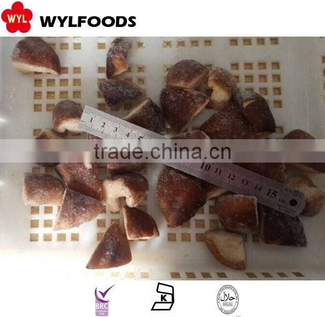 iqf price for frozen shiitake quarter 2015 crop