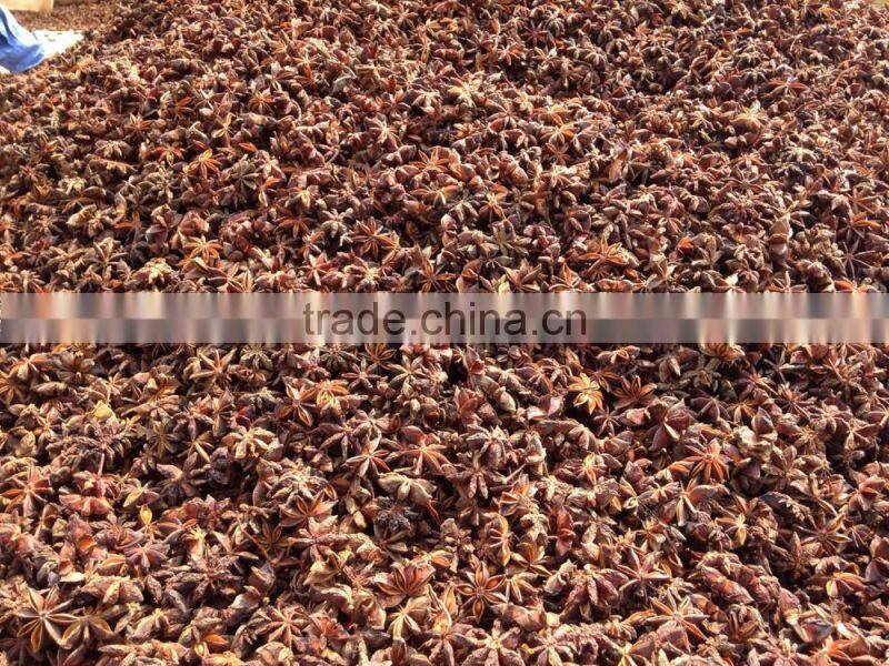 VIETNAM BEST QUALITY AUTUMN STAR ANISE