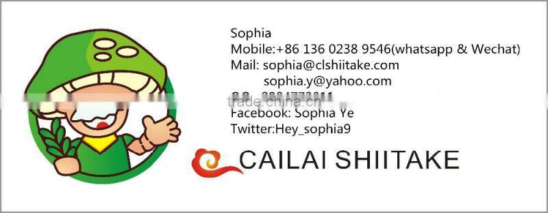 AA quality tea flower shiitake