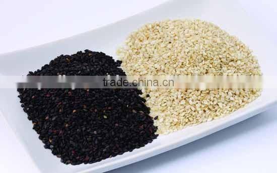 sesame seed roasting machine/dryer/oven