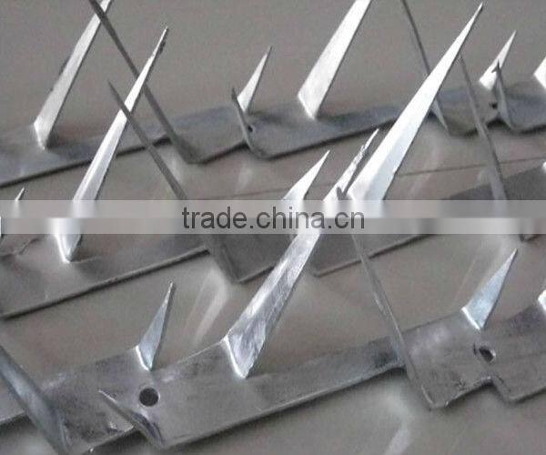 Hot-dipped/Electro Galvanized Barbed Nails(manufacturer)