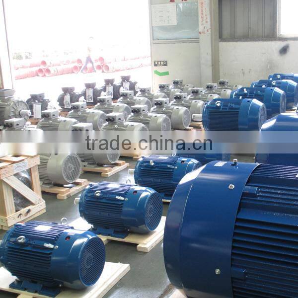 NEMA Standard TEFC Ball Bearing IP55 Protection Three Phase Electric Motor